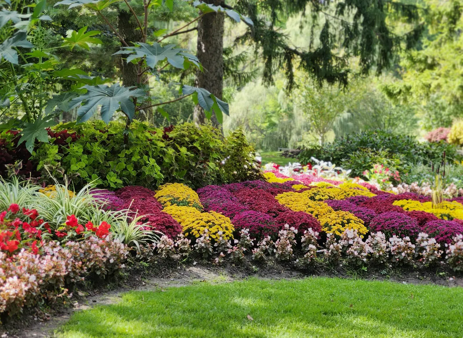 Background for landscaping web design page