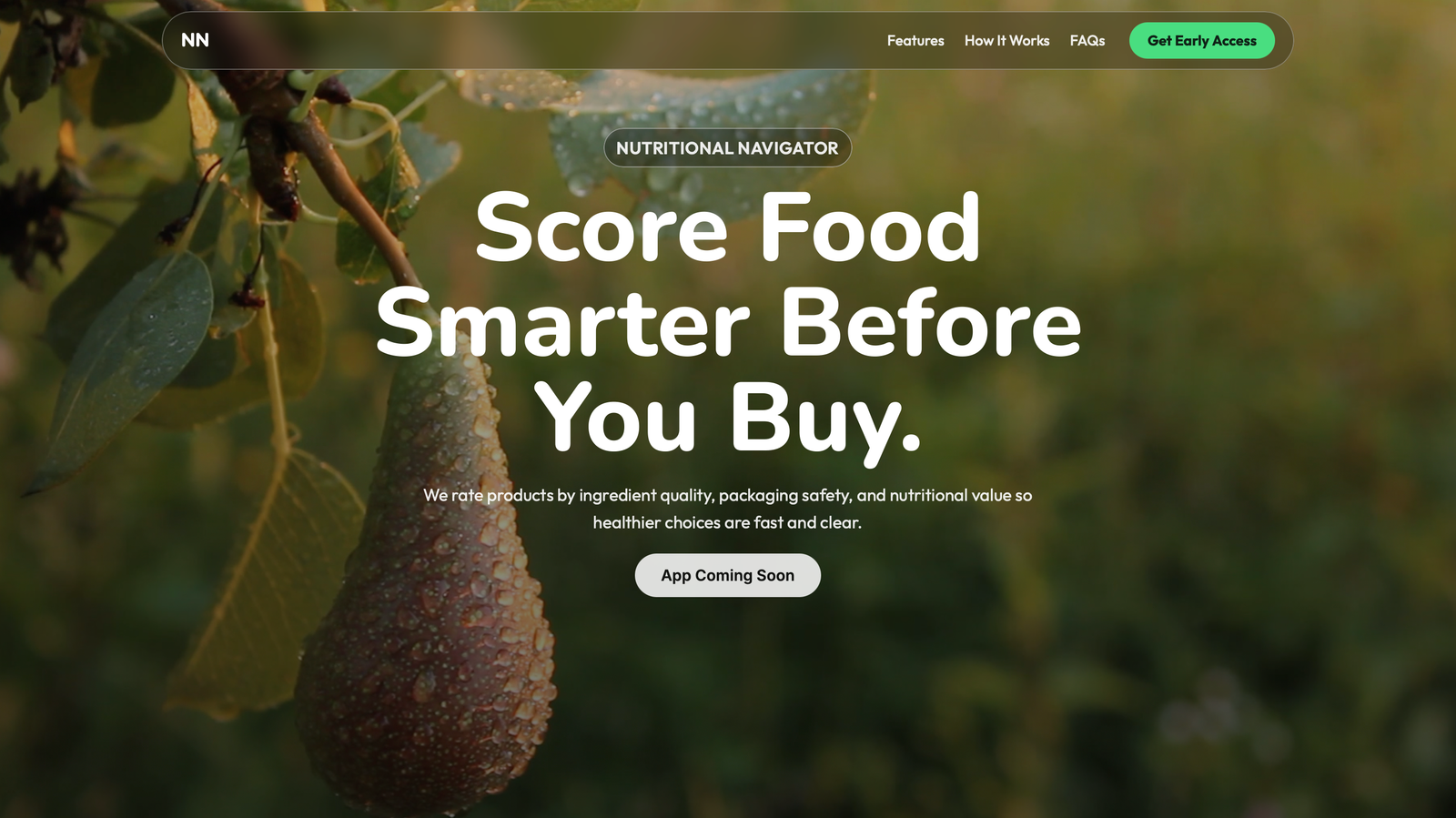 Startup web design example