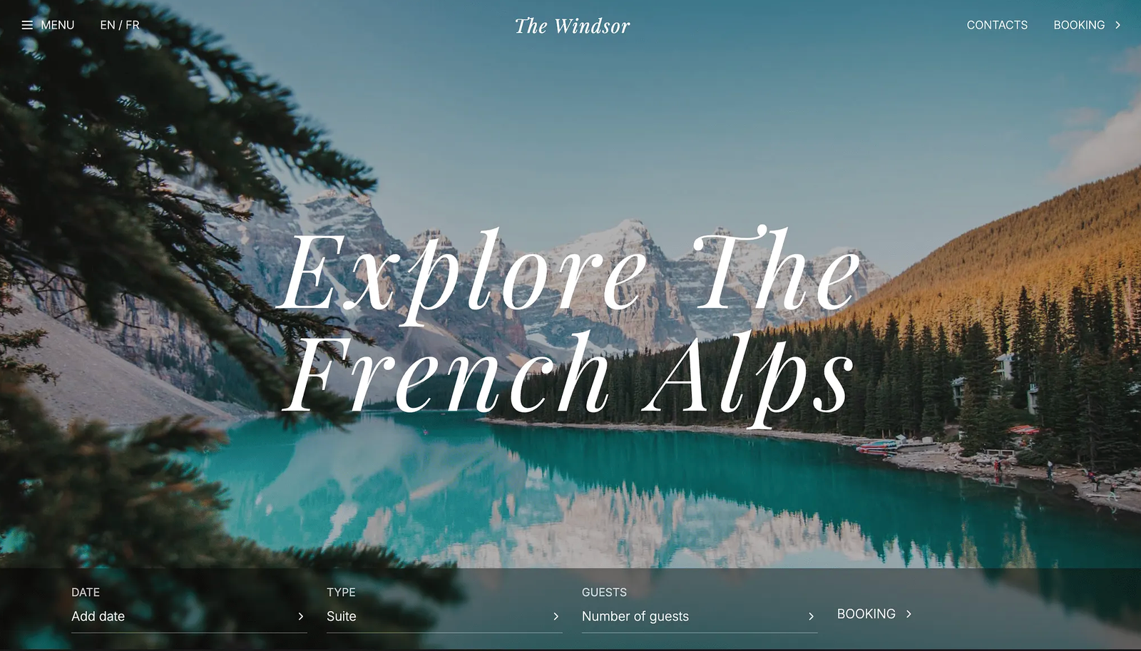 Website management dashboard showing performance and maintenance tracking