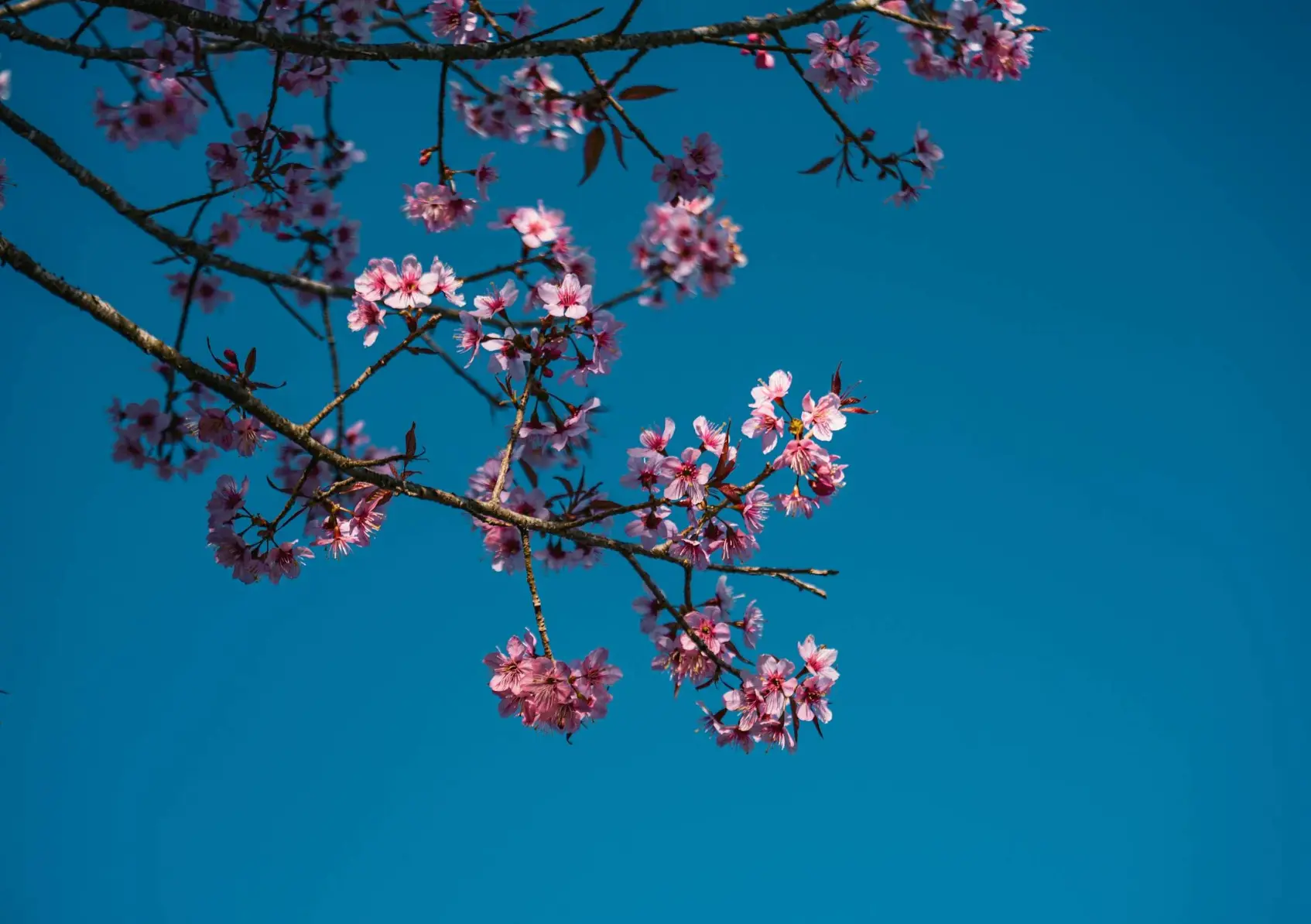 Background for app landing page design page